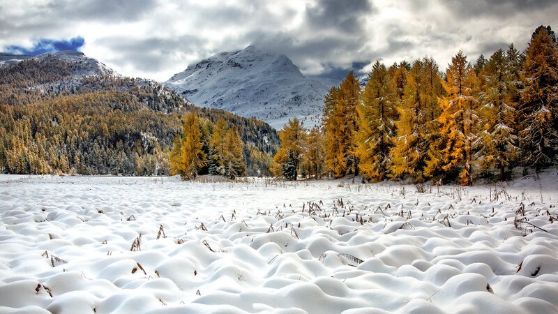 Snow-covered Mountain Valley — White, Serene, Winter, Photograph, Mountains, Trees, Snow