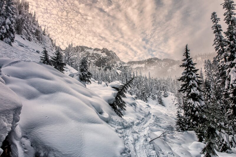 Snow-covered Mountain Valley — White, Serene, Winter, Photograph, Pine Trees