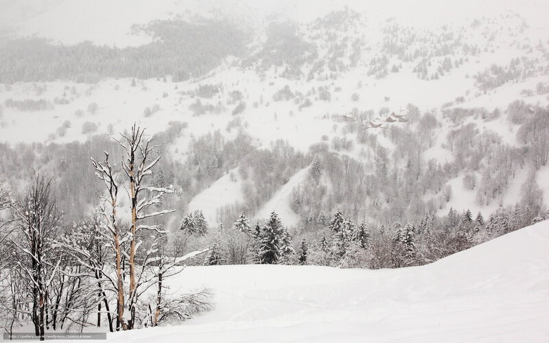 Snow-covered Mountain Valley — White, Serene, Winter, Photograph, Trees, Hills