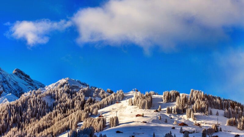 Snow-covered Mountain Village — Blue, Serene, Winter, Photograph, Trees, Huts