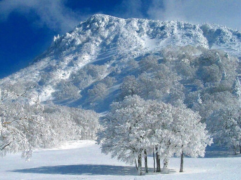 Snow-covered Mountain — White, Serene, Winter, Photograph, Trees, Snow