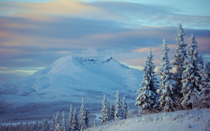 Snow-covered Mountain — White, Serene, Winter, Photograph, Trees