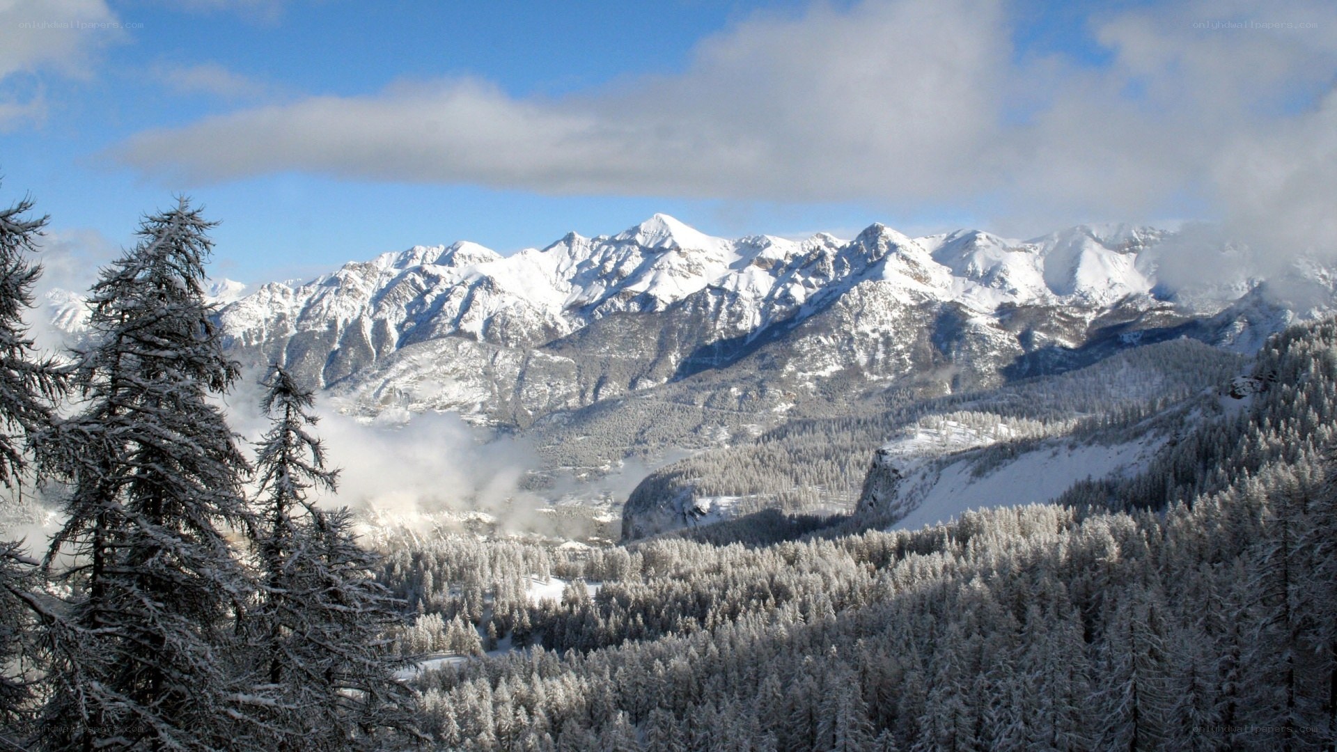 snow-covered mountains and forest