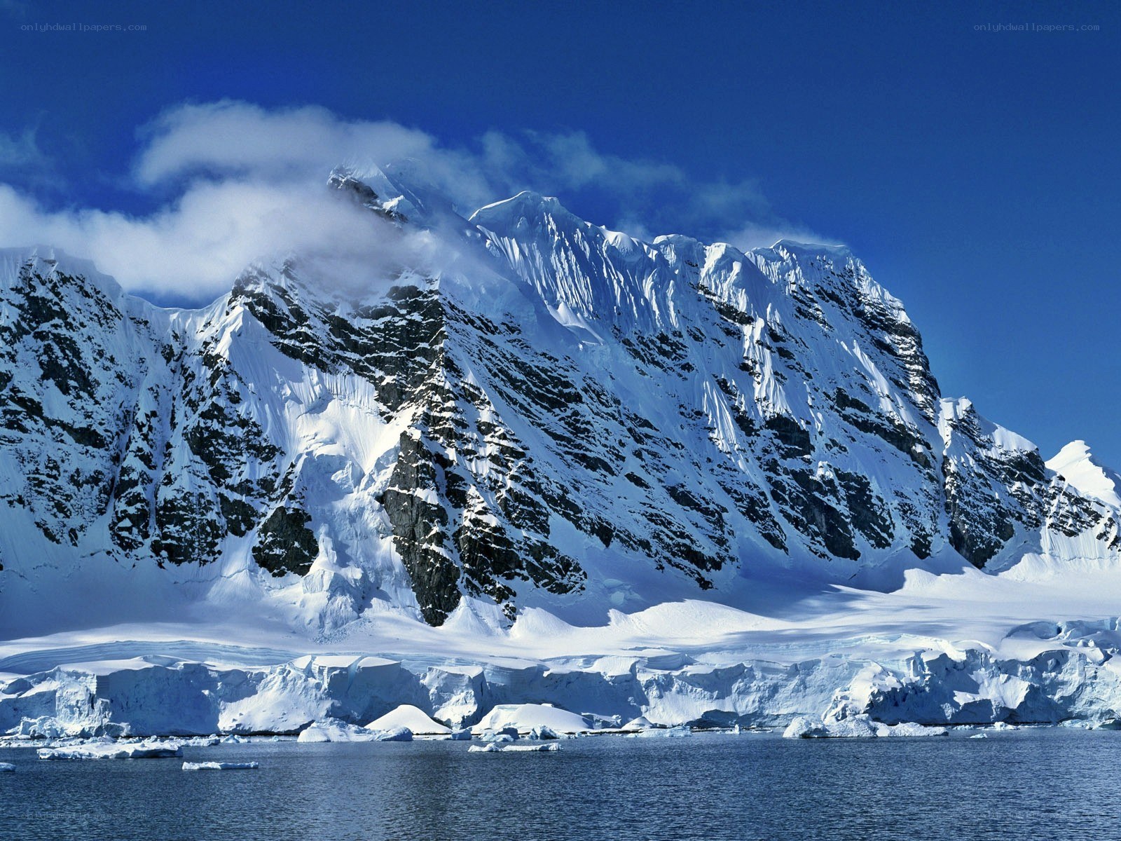 Snow-covered mountains and icebergs
