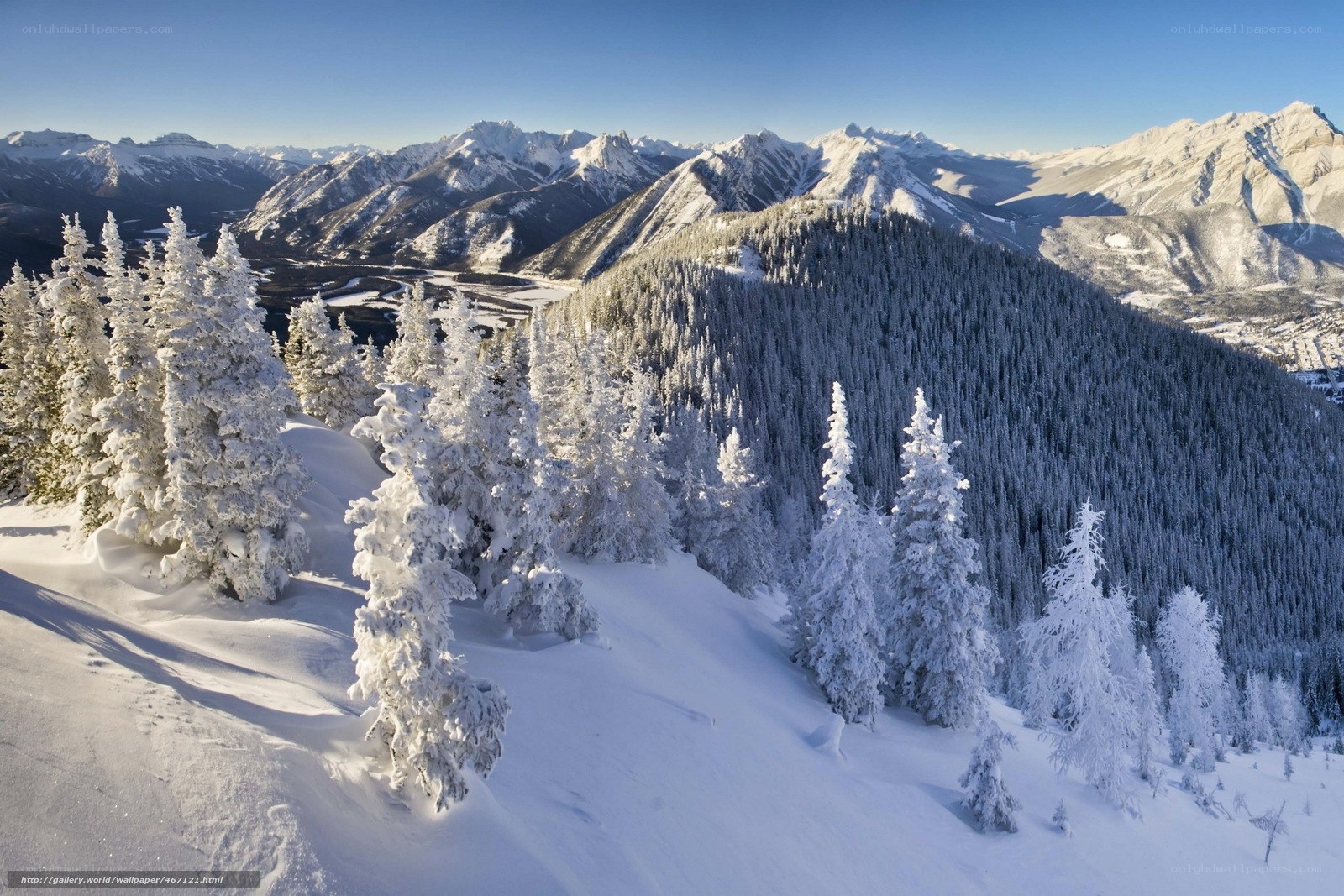 Snow-covered mountains and trees