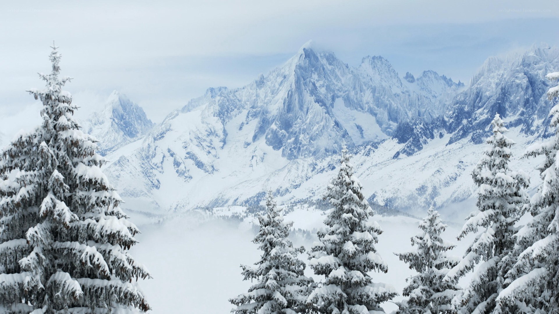 snow-covered mountains and trees