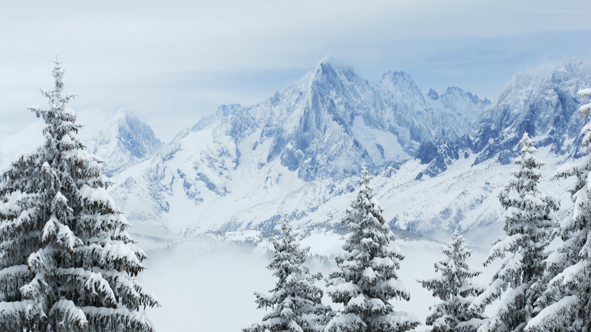 snow-covered mountains and trees