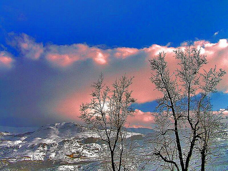 Snow-covered Mountains — Blue, Dramatic, Winter, Photograph, Bare Trees