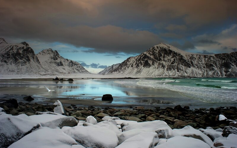 Snow-covered Mountains — Blue, Dramatic, Winter, Photograph, Beach, Seagull, Rocks