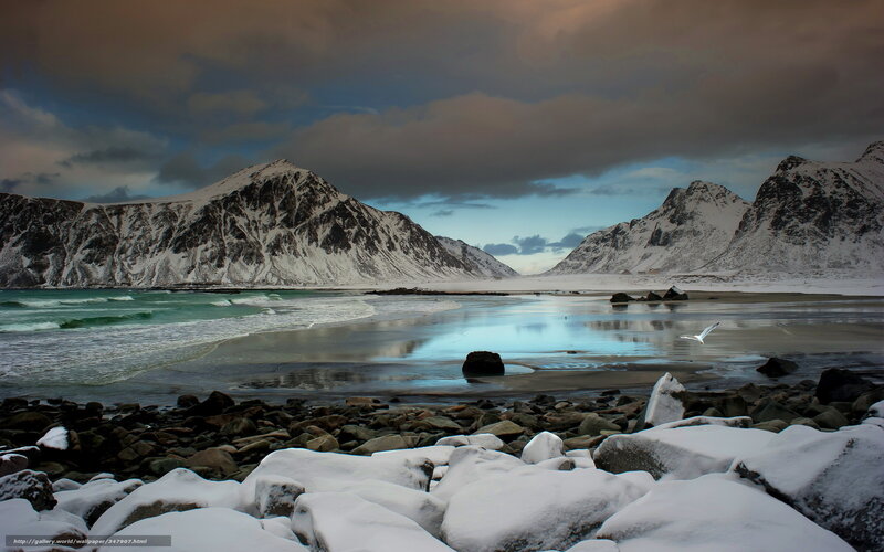 Snow-covered Mountains — Blue, Dramatic, Winter, Photograph, Beach, Seagull