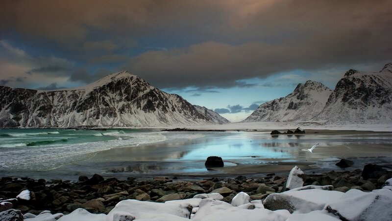 Snow-covered Mountains — Blue, Dramatic, Winter, Photograph, Sea, Bird, Rocks