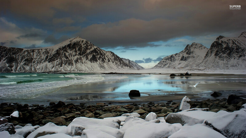 Snow-covered Mountains — Blue, Dramatic, Winter, Photograph, Sea, Bird