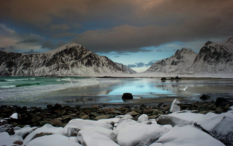 Snow-covered Mountains — Blue, Dramatic, Winter, Photograph, Sea, Seagull