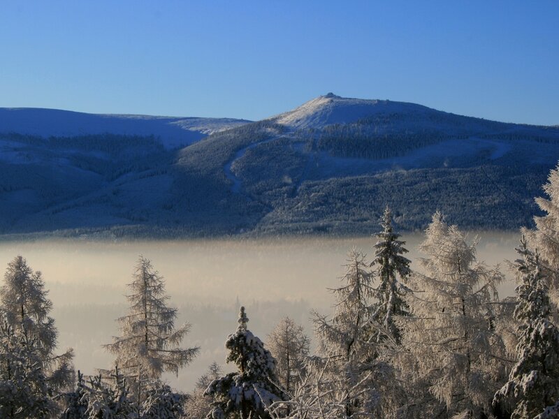 Snow-covered Mountains — Blue, Serene, Winter, Photograph, Fog, Trees