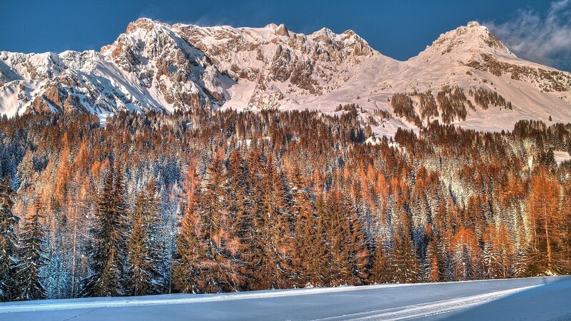Snow-covered Mountains — Blue, Serene, Winter, Photograph, Forest, Trees