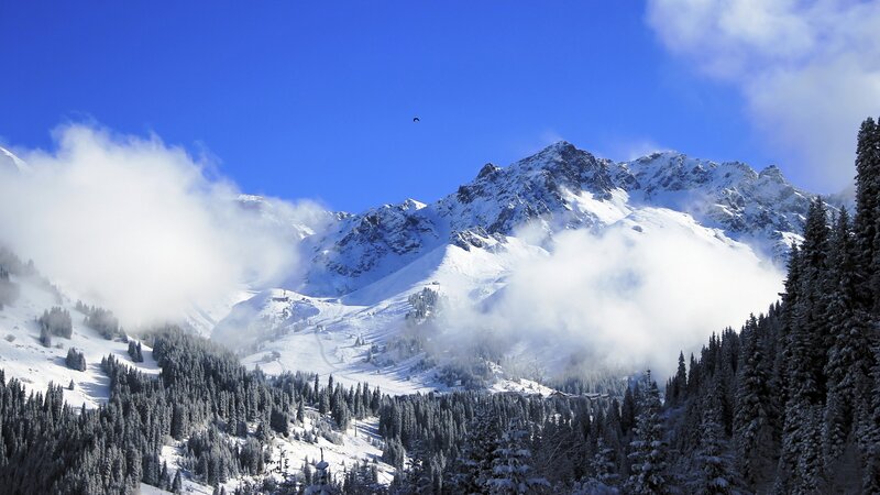 Snow-covered Mountains — Blue, Serene, Winter, Photograph, Forests, Clouds, Bird