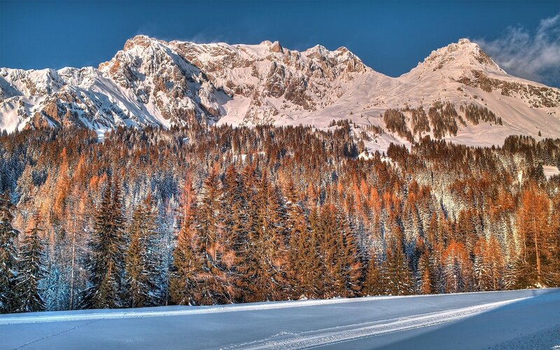 Snow-covered Mountains — Blue, Serene, Winter, Photograph, Forests, Trees