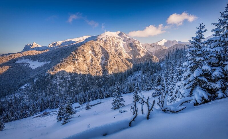 Snow-covered Mountains — Blue, Serene, Winter, Photograph, Pine Trees, Mountain Range