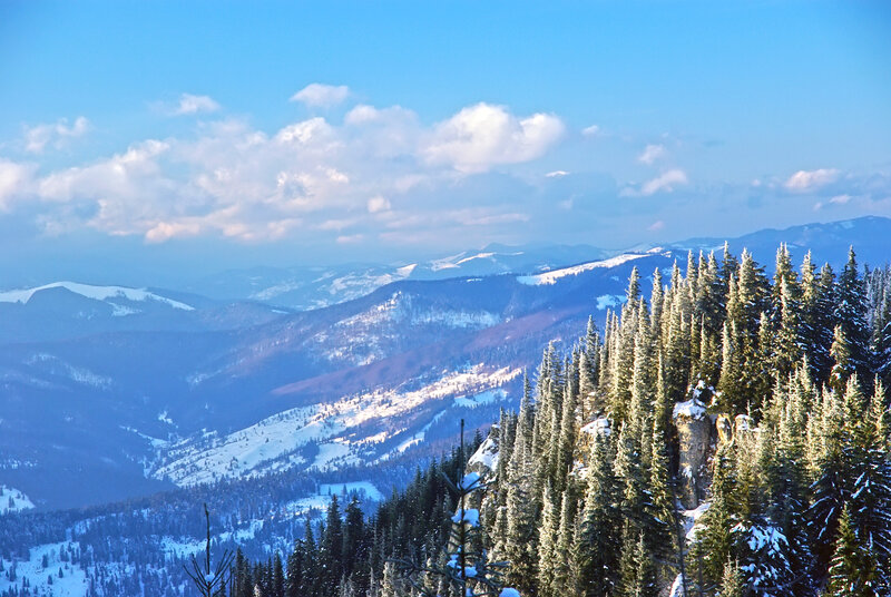 Snow-covered Mountains — Blue, Serene, Winter, Photograph, Pine Trees