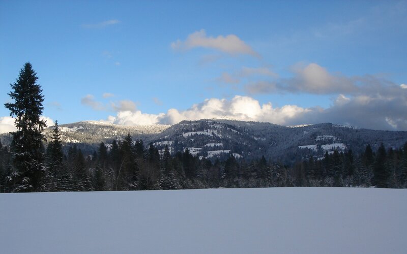 Snow-covered Mountains — Blue, Serene, Winter, Photograph, Trees, Clouds, Sky, White, Green
