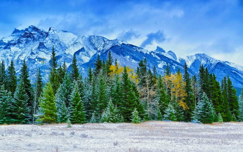 Snow-covered Mountains — Blue, Serene, Winter, Photograph, Trees, Forest