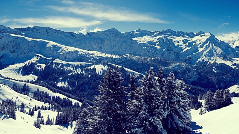 Snow-covered Mountains — Blue, Serene, Winter, Photograph, Trees, Forests