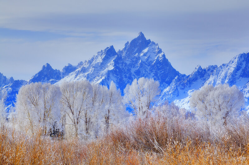Snow-covered Mountains — Blue, Serene, Winter, Photograph, Trees, Frost