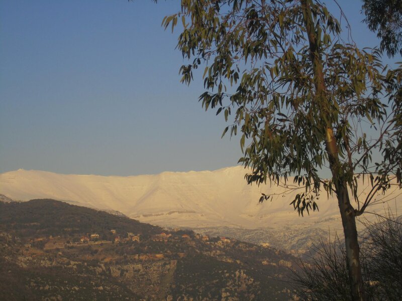 Snow-covered Mountains — Blue, Serene, Winter, Photograph, Trees, Village