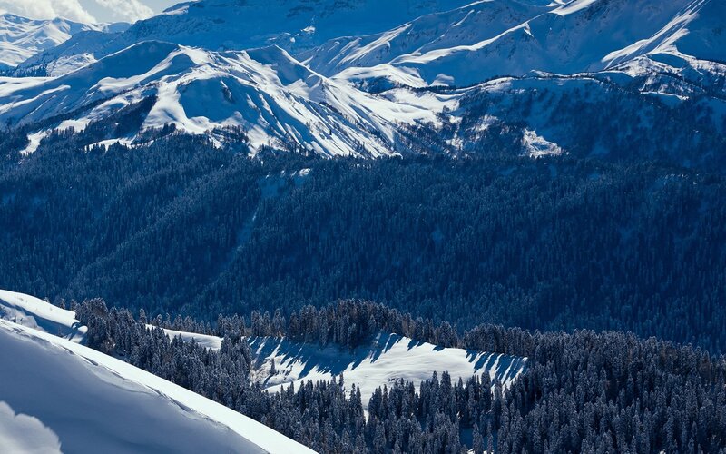 Snow-covered Mountains — Forests