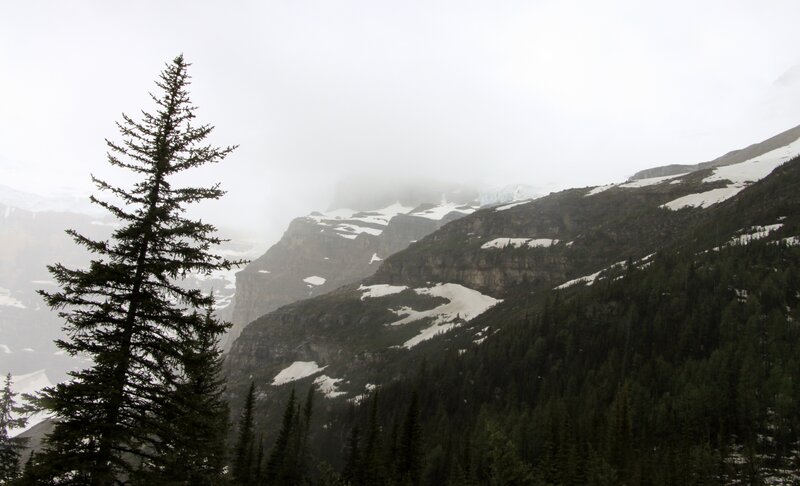 Snow-covered Mountains — Green, Misty
