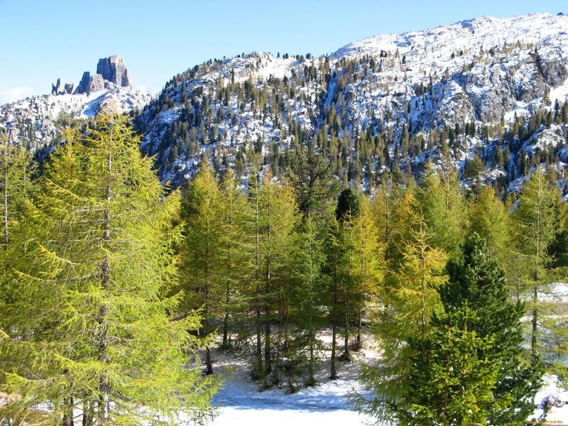 Snow-covered Mountains — Green, Serene, Winter, Photograph, Trees, Snow