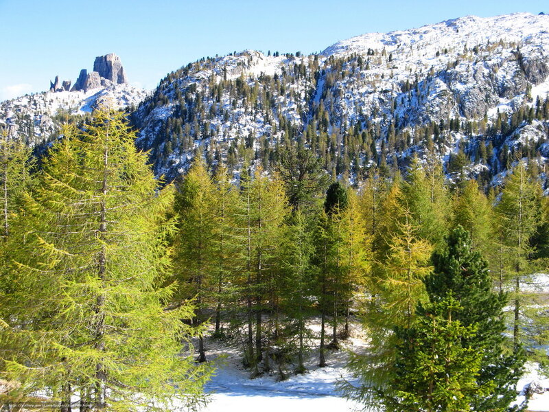 Snow-covered Mountains — Green, Serene, Winter, Photograph, Trees