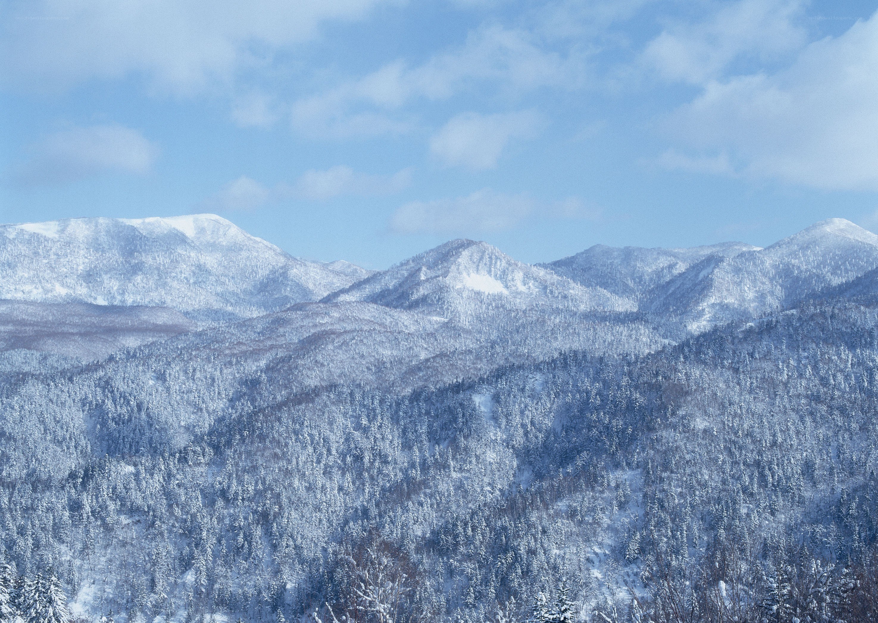 Snow-covered mountains in winter