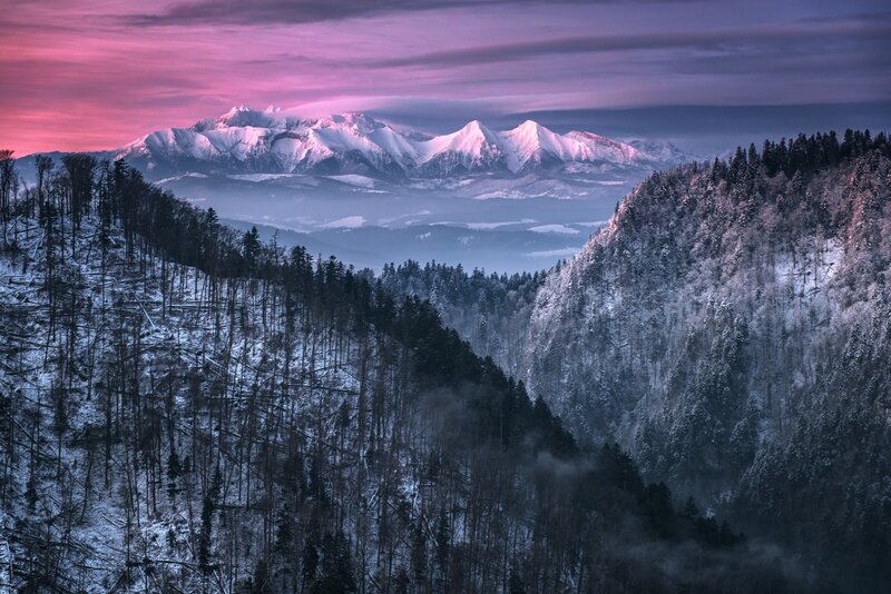 Snow-covered Mountains — Purple, Dramatic, Winter, Photograph, Forests