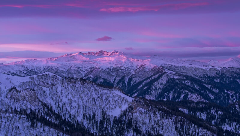 Snow-covered Mountains — Purple, Serene, Sunset, Photograph, Forests