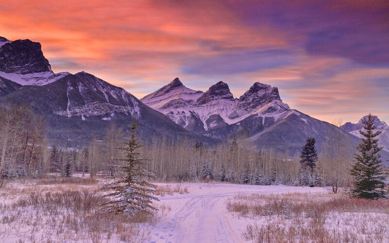Snow-covered Mountains — Purple, Serene, Winter, Photograph, Trees, Sky, Path