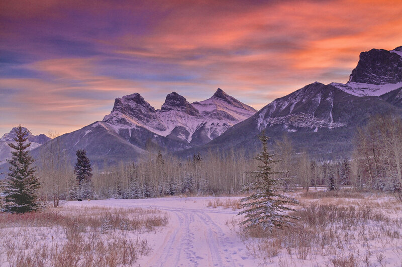 Snow-covered Mountains — Purple, Serene, Winter, Photograph, Trees