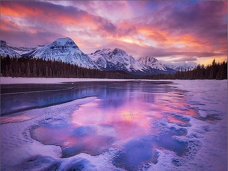 Snow-covered Mountains — Purple