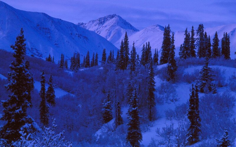 Snow-covered Mountains — Trees, Snow