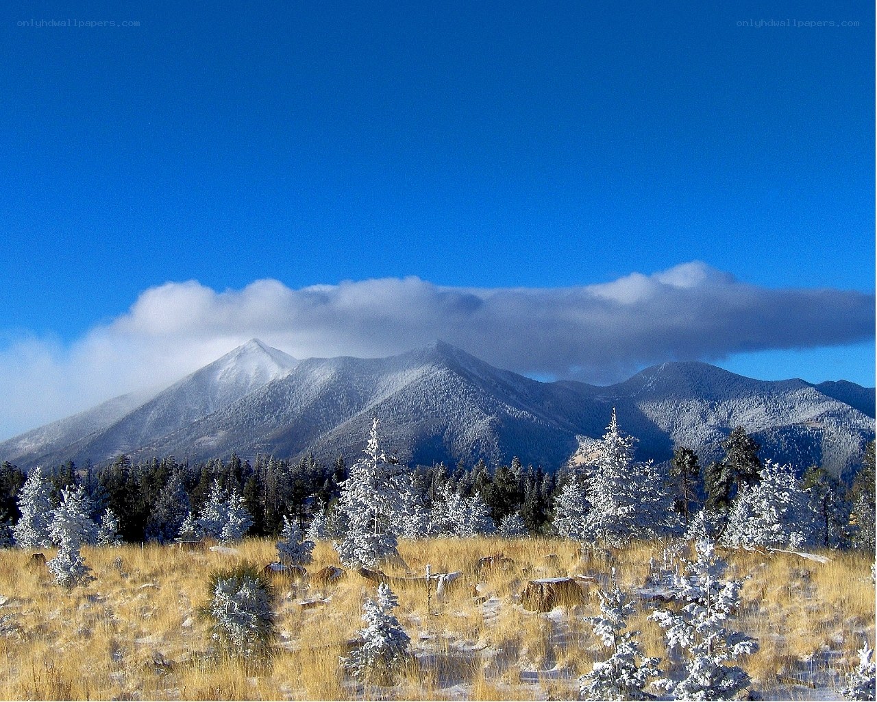 Snow-covered mountains under blue sky