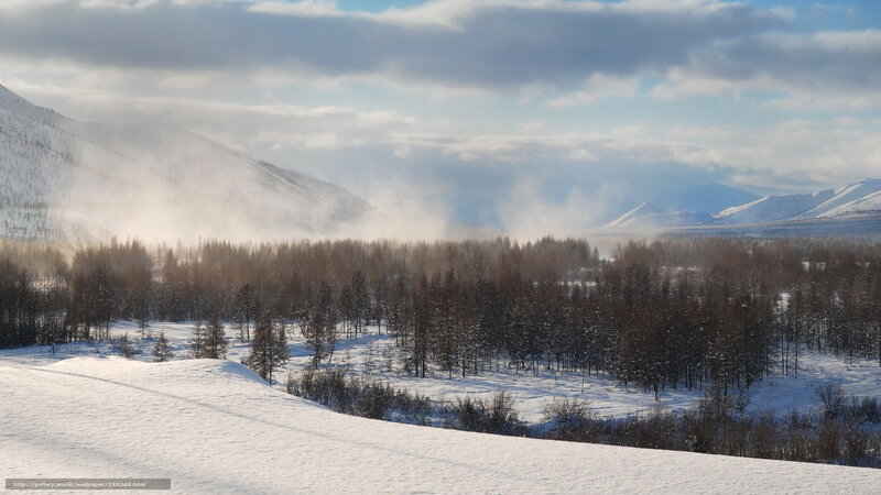 Snow-covered Mountains — White, Cold, Winter, Photograph, Trees