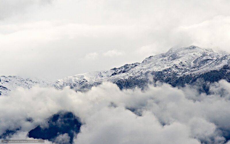 Snow-covered Mountains — White, Dramatic, Winter, Photograph, Clouds, Forests