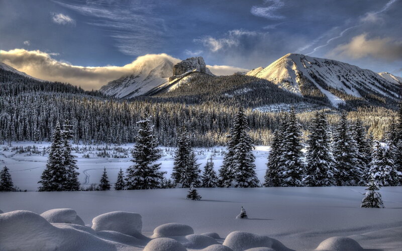 Snow-covered Mountains — White, Dramatic, Winter, Photograph, Trees, Forest
