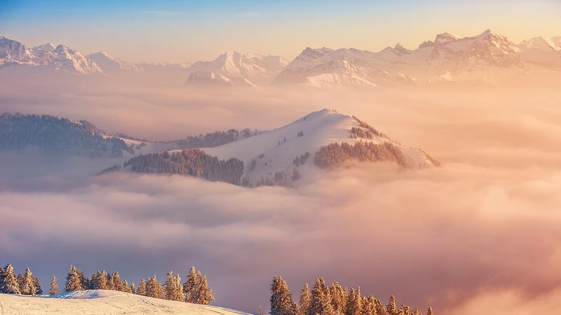 Snow-covered Mountains — White, Serene, Sunrise, Photograph, Fog, Trees