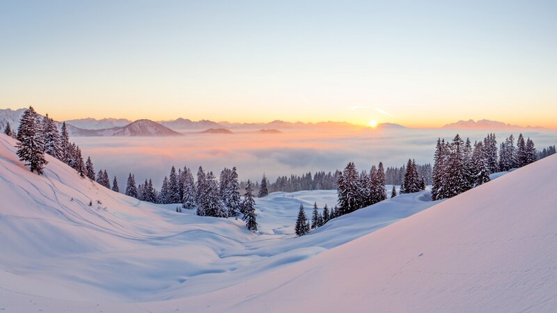 Snow-covered Mountains — White, Serene, Sunrise, Photograph, Trees, Clouds
