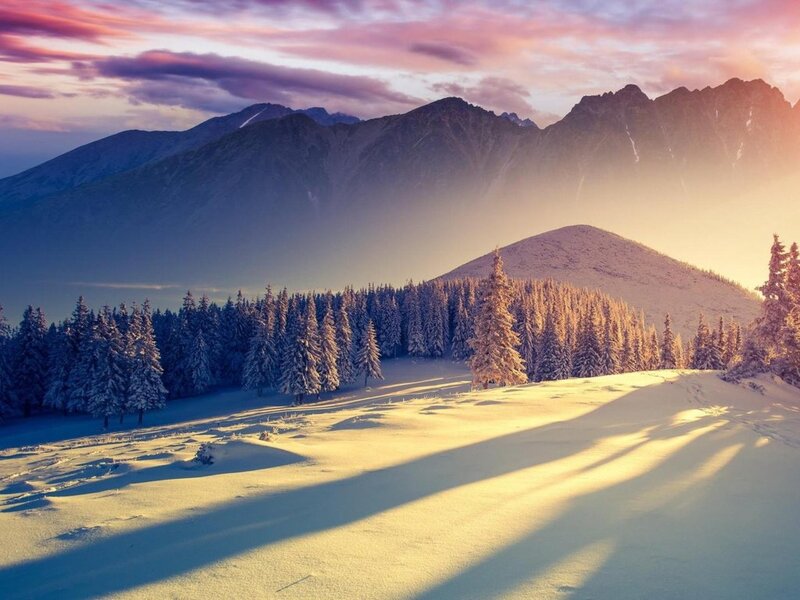 Snow-covered Mountains — White, Serene, Sunset, Photograph, Trees, Forest