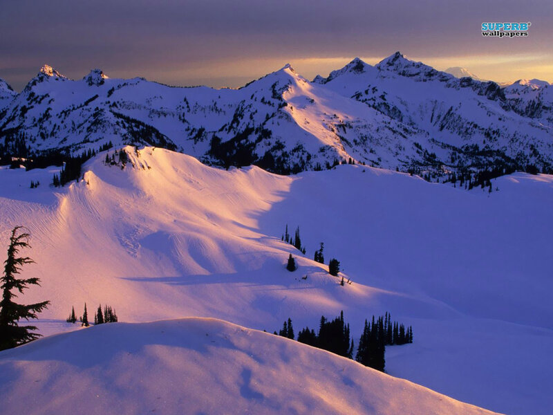 Snow-covered Mountains — White, Serene, Sunset, Photograph, Trees, Snow