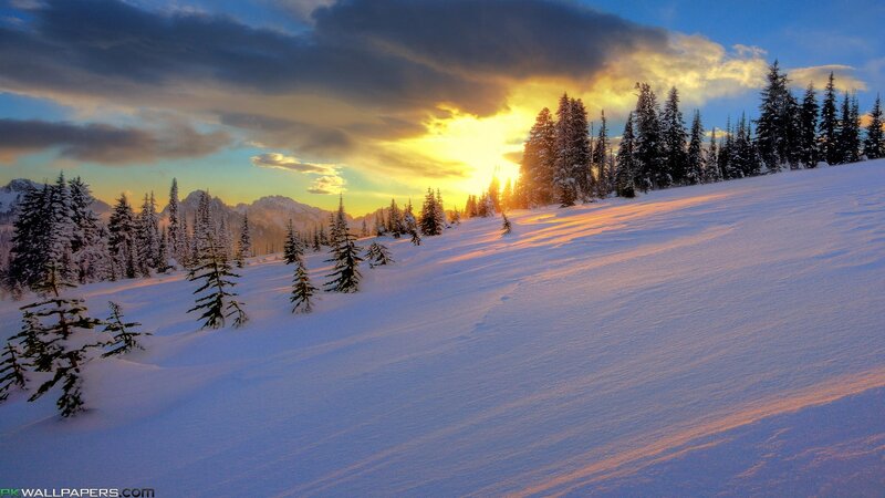 Snow-covered Mountains — White, Serene, Sunset, Photograph, Trees
