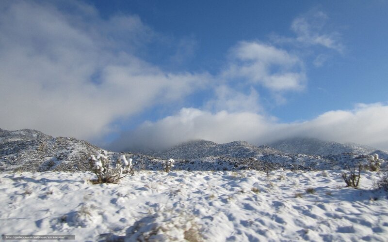 Snow-covered Mountains — White, Serene, Winter, Photograph, Clouds, Bushes