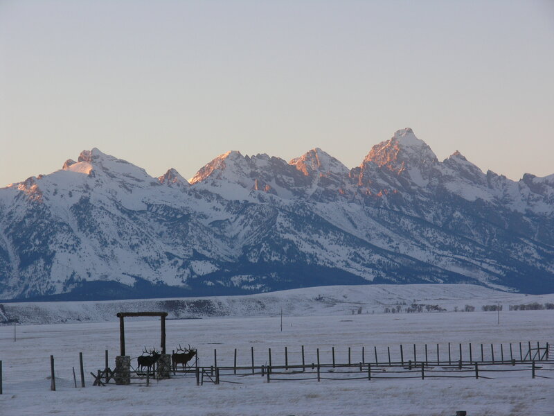 Snow-covered Mountains — White, Serene, Winter, Photograph, Fence, Elk Statues
